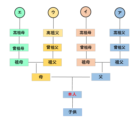 注文系統図